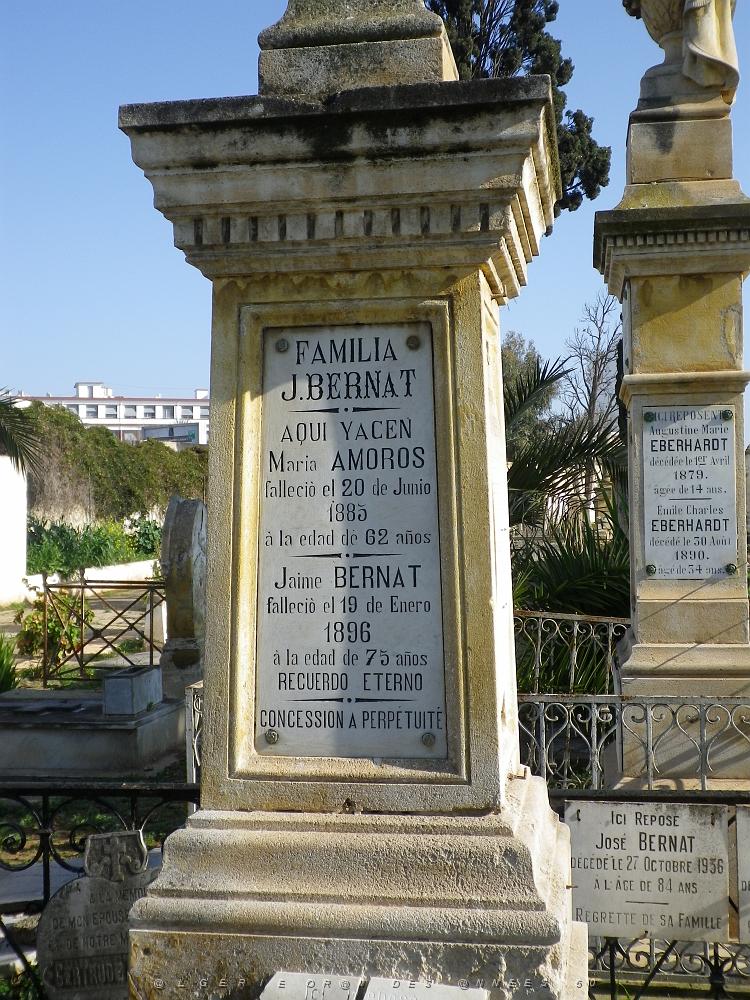 CIMETIERE DE TAMAZOUHET D ORAN EN MARS 2012  (18).JPG